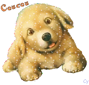 Gif animé coucou chien